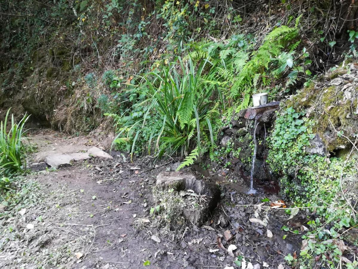 Quinta Da Portelada Peso da Régua Kültér fotó