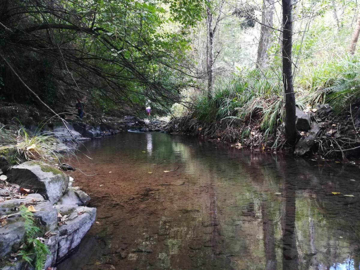 Quinta Da Portelada Peso da Régua Kültér fotó