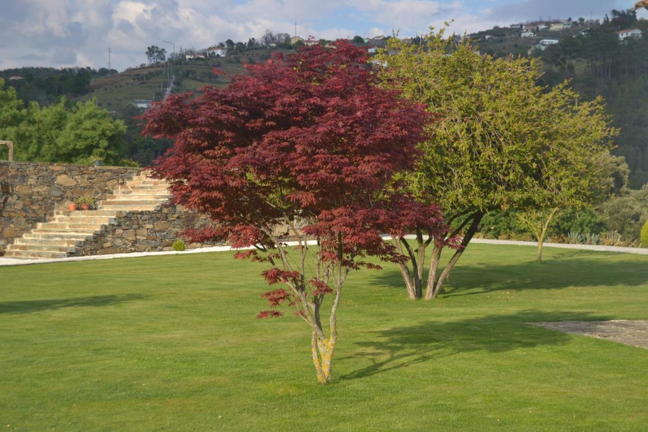Quinta Da Portelada Peso da Régua Kültér fotó