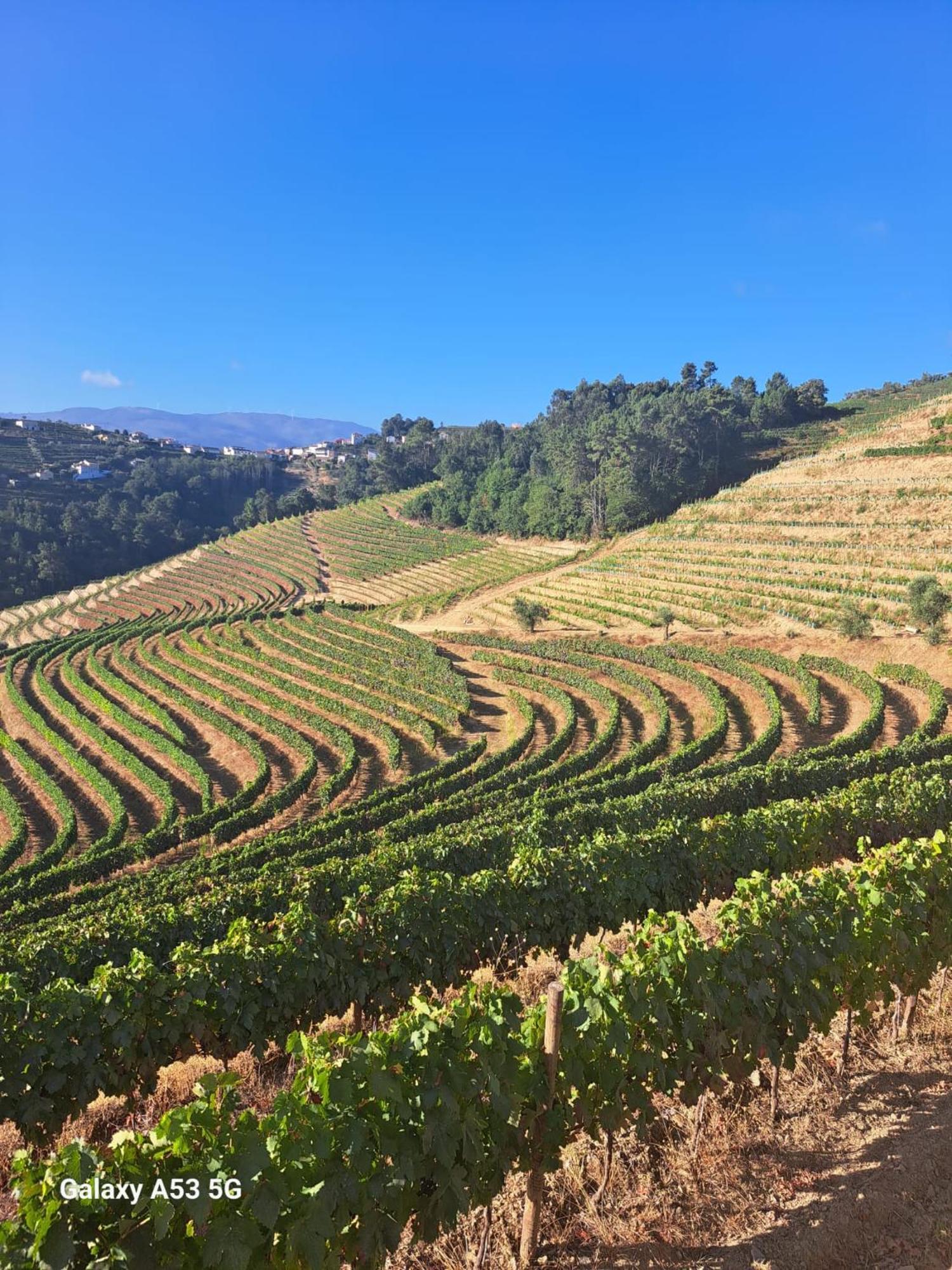 Quinta Da Portelada Peso da Régua Kültér fotó