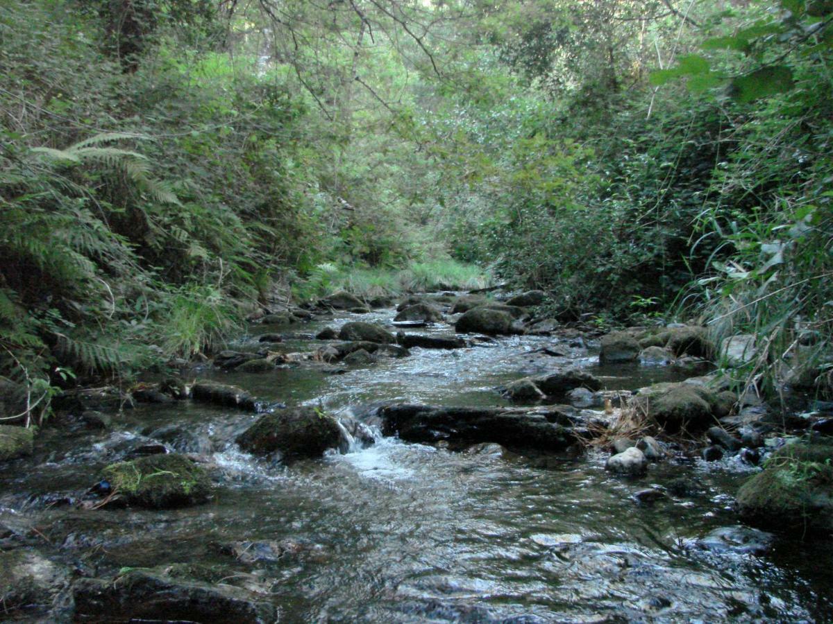Quinta Da Portelada Peso da Régua Kültér fotó