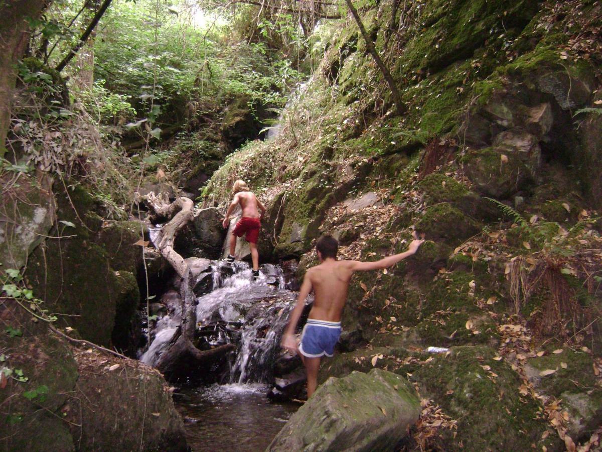 Quinta Da Portelada Peso da Régua Kültér fotó