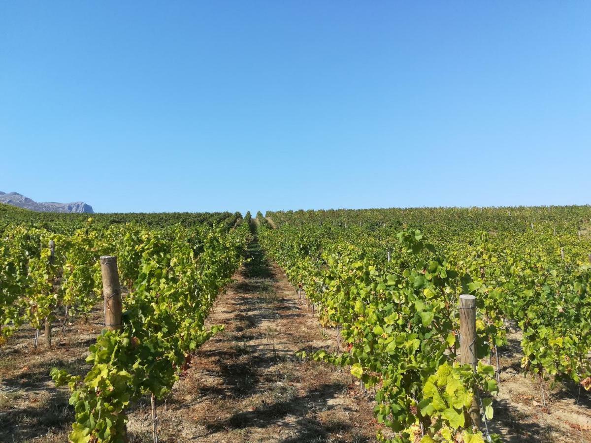 Quinta Da Portelada Peso da Régua Kültér fotó